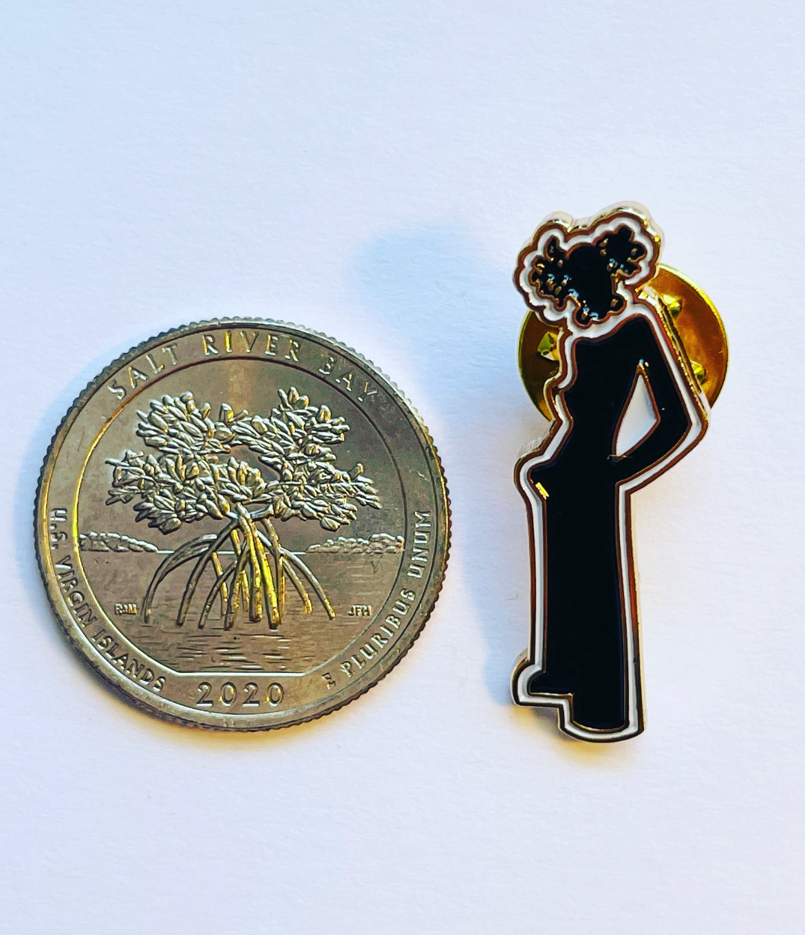 The Nez Silhouette Black and Gold Lapel Pin